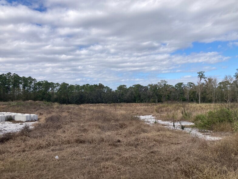 More Photos Of 1501 Turkey Creek, Plant City Land For Lease