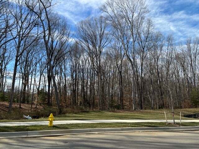 Primary Photo Of Farragut Drive, Bryans Road Land For Sale