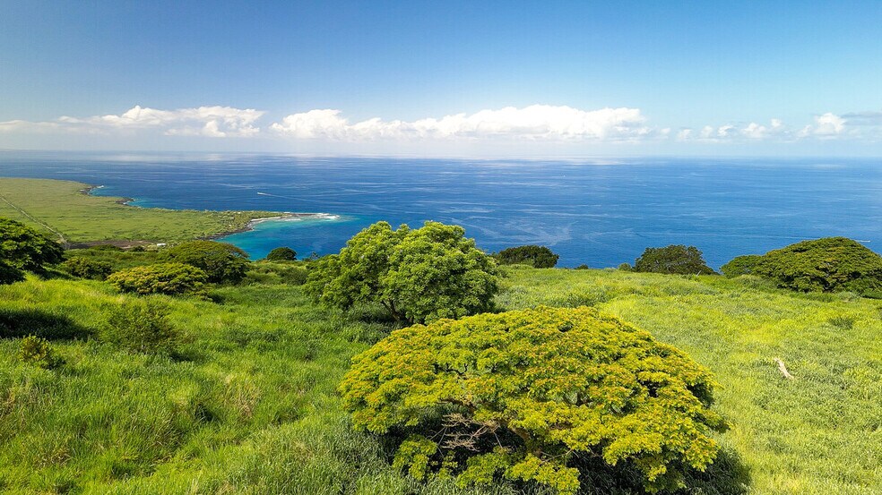 More Photos Of 82-6159 Napoopoo Rd, Captain Cook Land For Sale