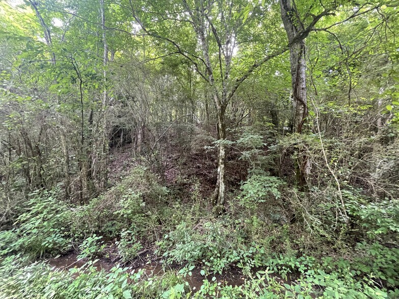 More Photos Of Coon Creek Road Rd @ Hull Road, Sipsey Land For Sale