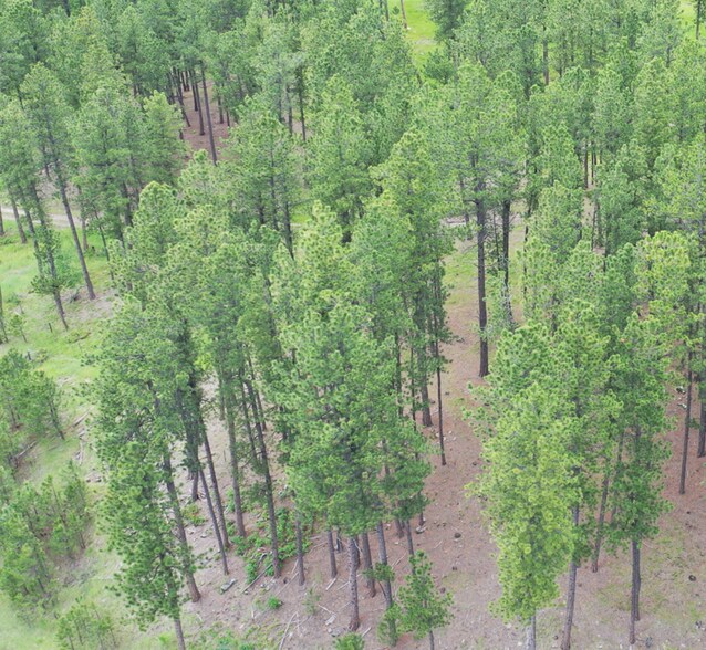 More Photos Of 21301 Vanocker Canyon Road, Sturgis Land For Sale
