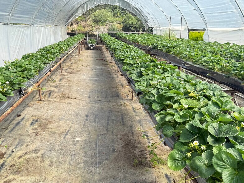 More Photos Of 117 Rancho Rd, Watsonville Land For Sale