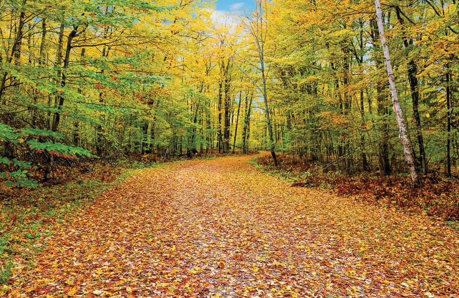 More Photos Of , Germfask Unknown For Sale