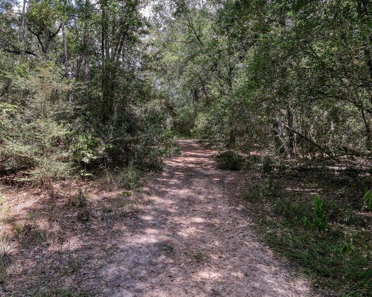 More Photos Of 2160 Bowler Rd, Waller Land For Sale