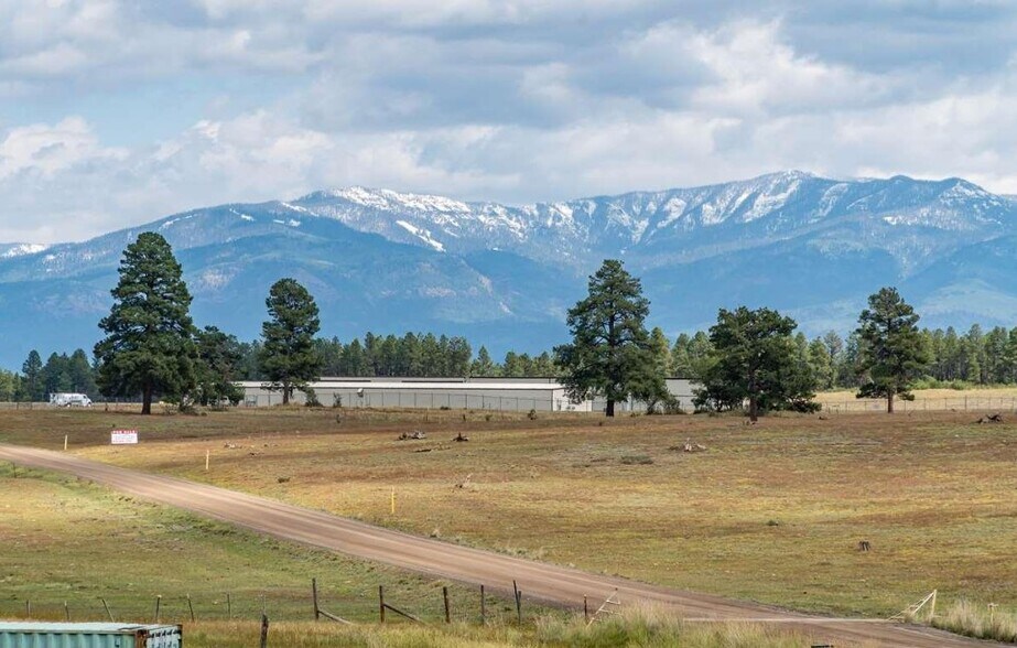 More Photos Of 250 Pagosa St, Pagosa Springs Research And Development For Sale