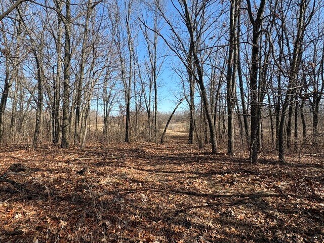 More Photos Of 10309 4000 South Road, Saint Anne Land For Sale