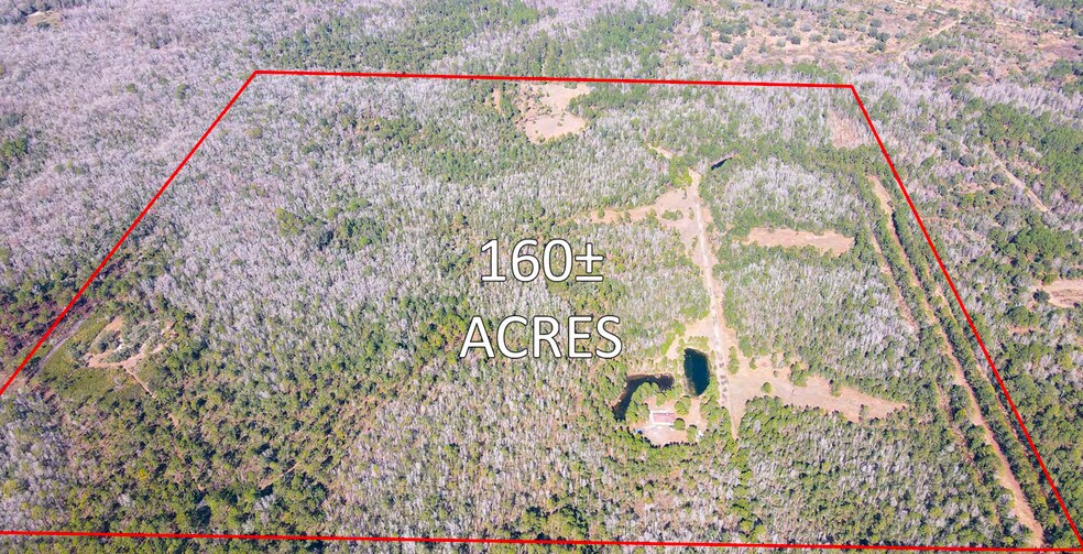 Primary Photo Of 8350 McLaughlin, Homosassa Land For Sale