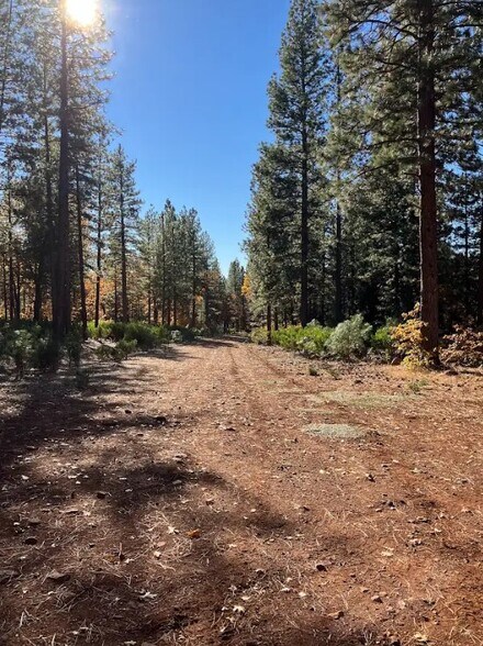 More Photos Of 1989 Tract Shingletown Ridge Rd, Shingletown Land For Sale