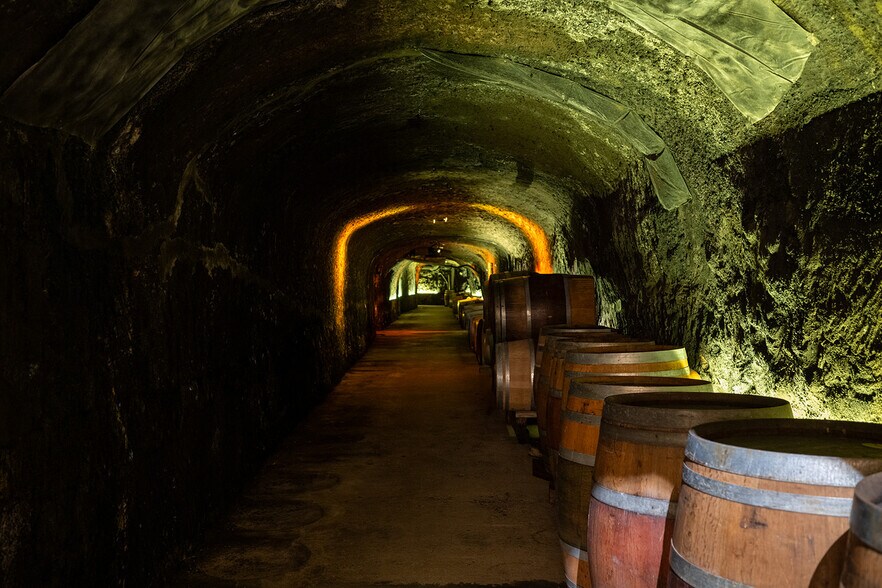 More Photos Of 1019-1091 Atlas Peak Rd, Napa Winery Vineyard For Lease