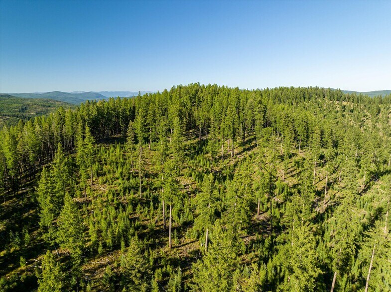 More Photos Of Nhn Logan Creek Road, Kila Land For Sale