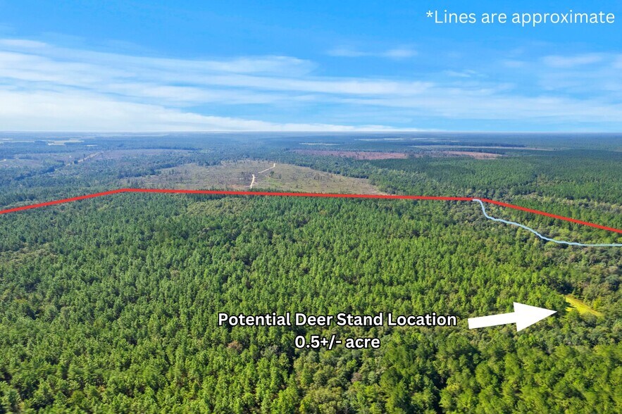 More Photos Of 0 Nokomis Road, Walnut Hill Land For Sale