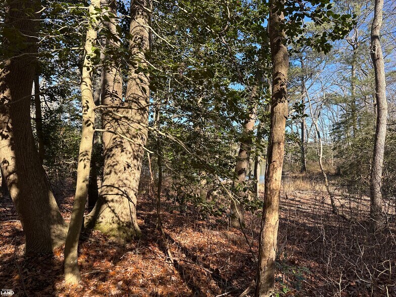 More Photos Of 00 Taylors Beach rd, Reedville Land For Sale