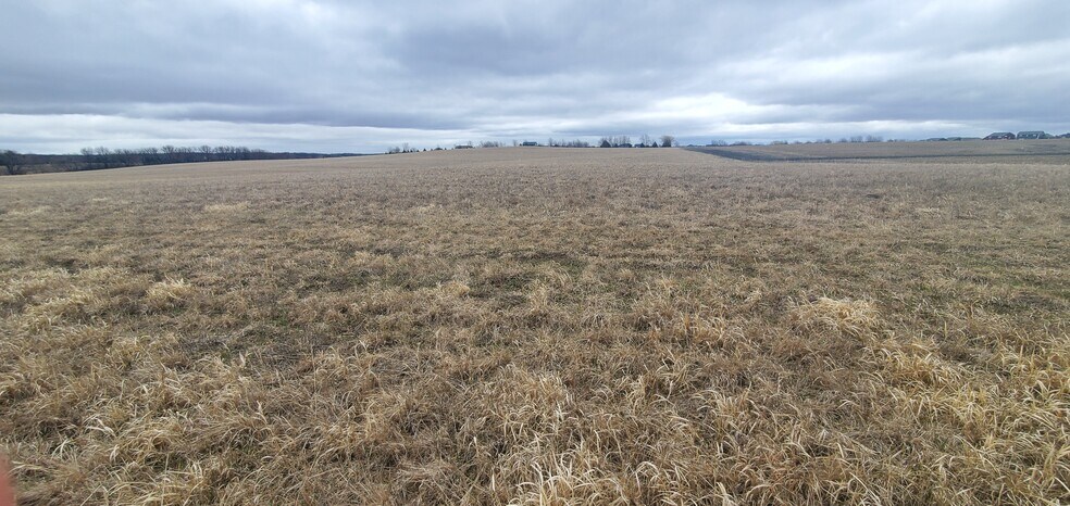 More Photos Of TBD Highway 57, Kasson Land For Sale