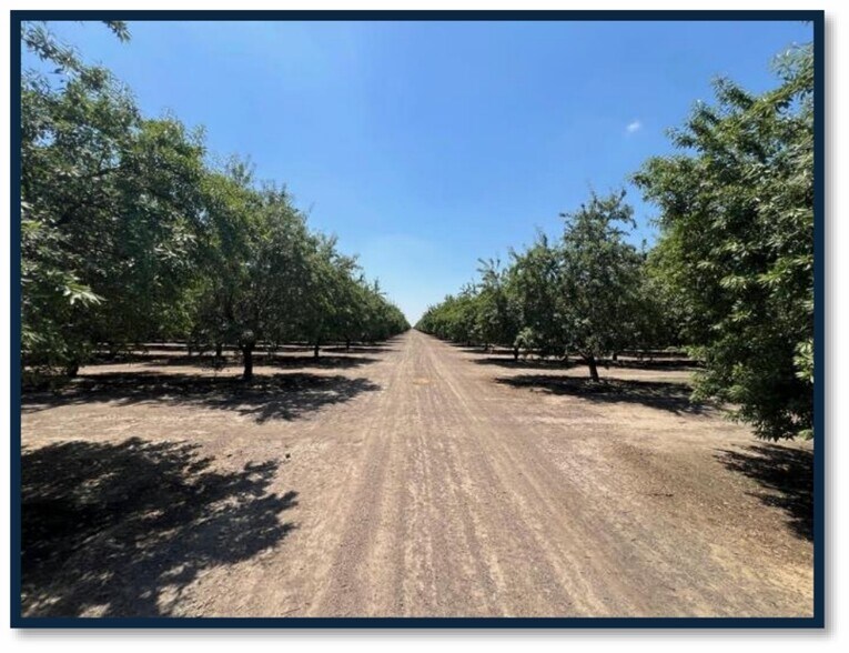 More Photos Of Avenue 192, Strathmore Land For Sale