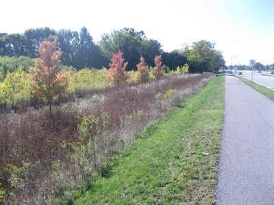 More Photos Of 15688 Hazel Dell Rd, Noblesville Land For Sale