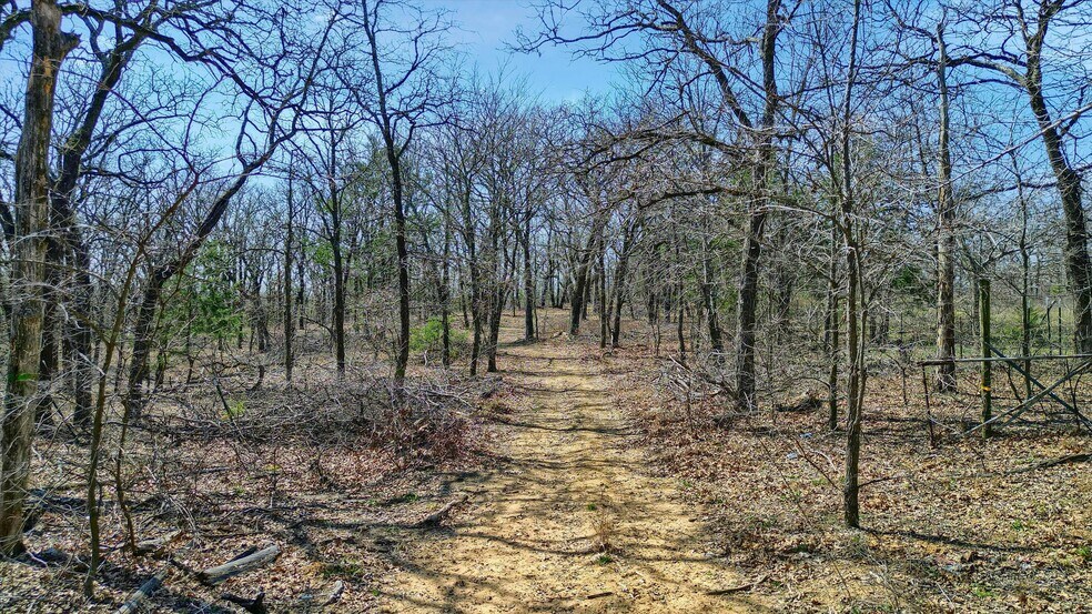 More Photos Of 278 Neely Trl, Gainesville Land For Sale
