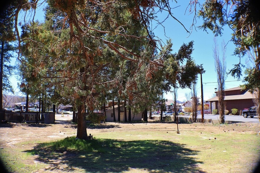 More Photos Of 42167 Big Bear Blvd, Big Bear Lake Land For Lease