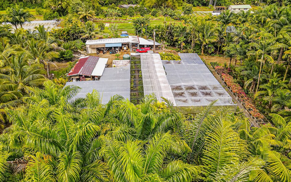 More Photos Of 27-2760 Hawaii Belt Rd, Pepeekeo Land For Sale