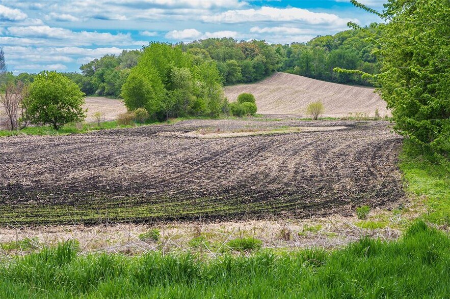 More Photos Of 35 acres Hwy 37 & Old Town Road, Mondovi Land For Sale