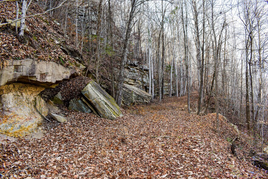 More Photos Of 126 Bolton Point Rd, South Pittsburg Land For Sale