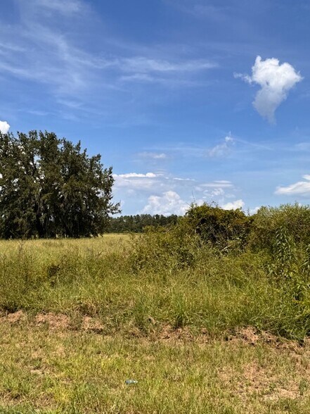 More Photos Of Haywood Worm Farm Road, Leesburg Land For Sale