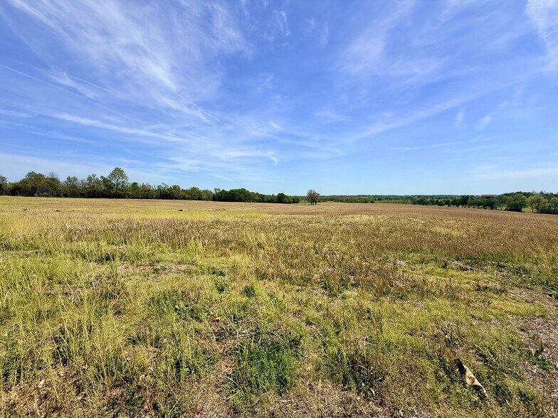 More Photos Of 4132 KY Highway 36 W, Cynthiana Land For Sale