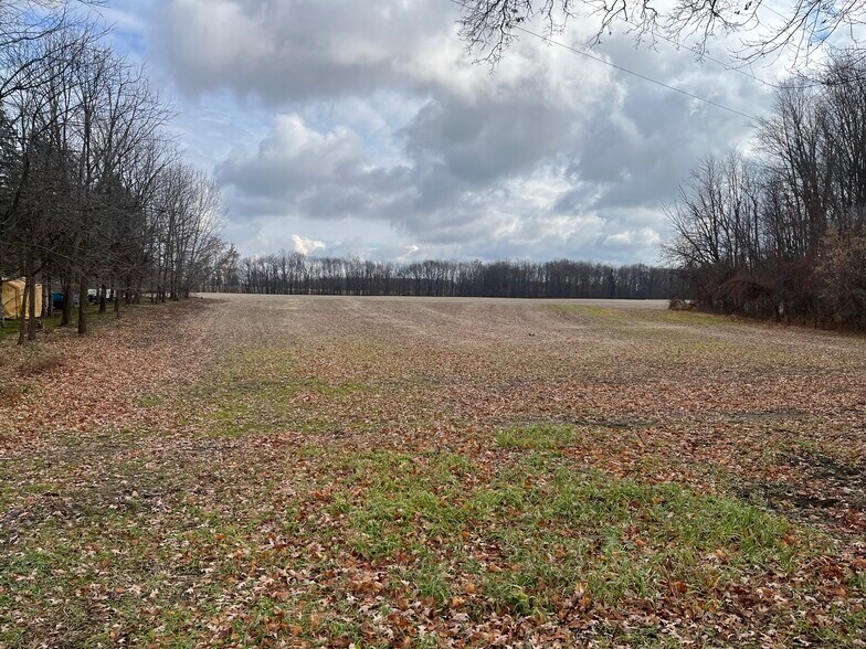More Photos Of 0 V/L Green St., Springport Land For Sale