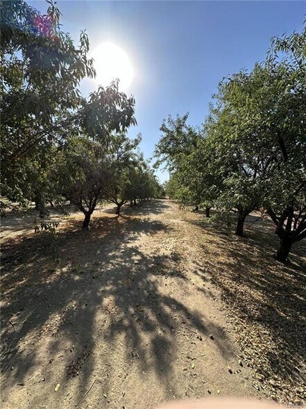More Photos Of 27726 Palm Street, Pixley Land For Sale