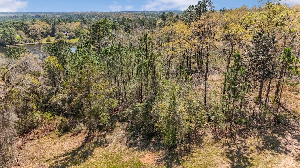More Photos Of 7700 Iron Rush Rd, Wilmer Land For Sale