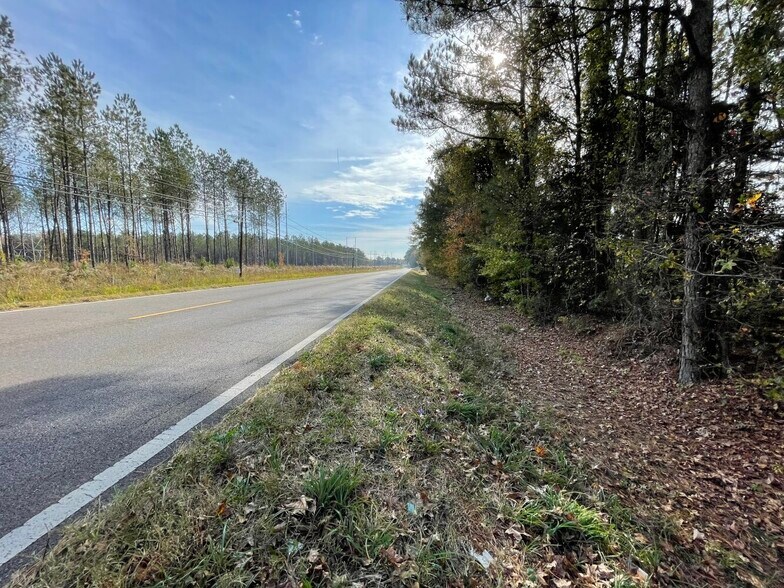 More Photos Of 0 Hwy 69 South, Columbus Land For Sale