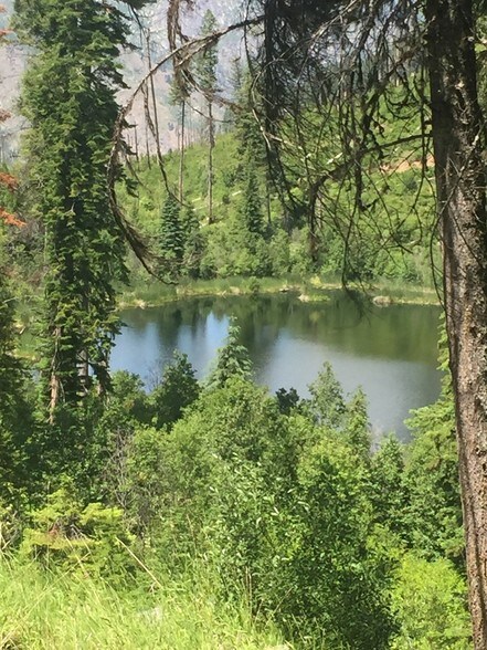 More Photos Of 1850 Forest Service Rd 318, Mccall Land For Sale