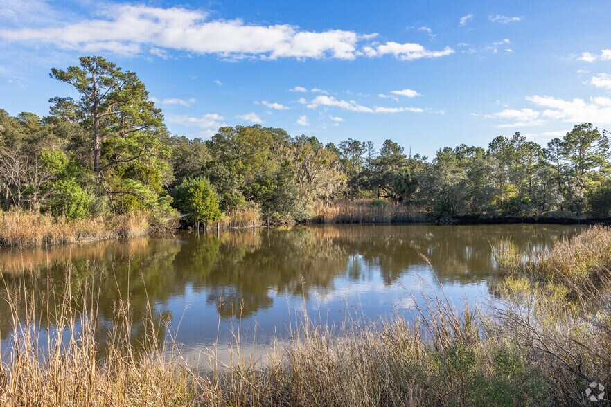 More Photos Of , Savannah Land For Sale