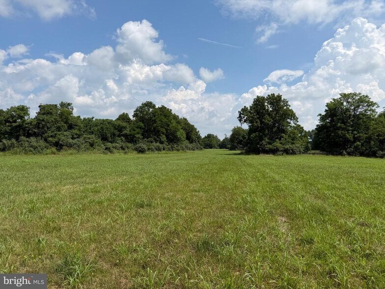More Photos Of 10068 Harry Byrd Hwy, Berryville Land For Sale