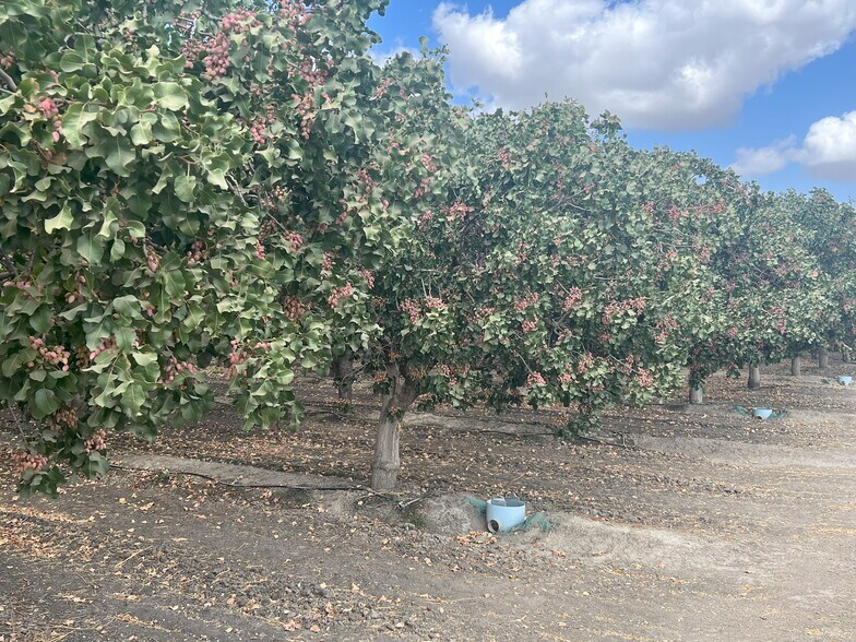 More Photos Of Idaho Ave @ 5th Avenue, Hanford Land For Sale