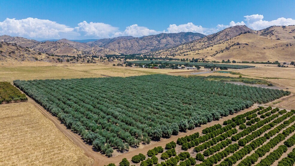 More Photos Of 19400 Avenue 398, Woodlake Land For Sale