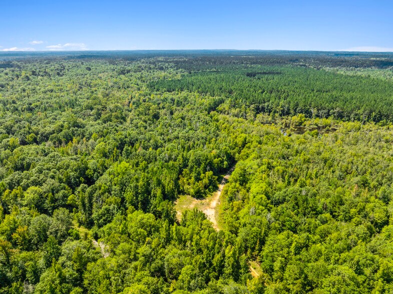 More Photos Of 7471 Highway 155, Saline Land For Sale