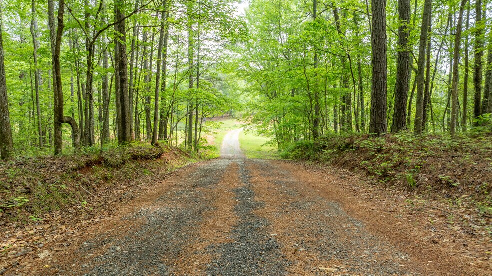 More Photos Of 485 Polk Rd, Moreland Land For Sale