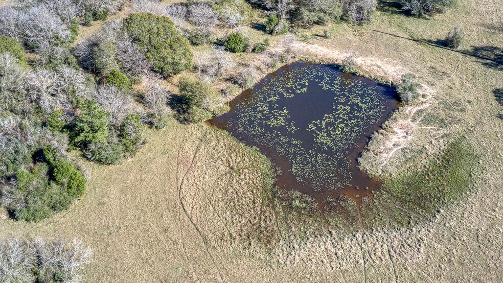 More Photos Of 26266 Fields Store Rd., Waller Land For Sale