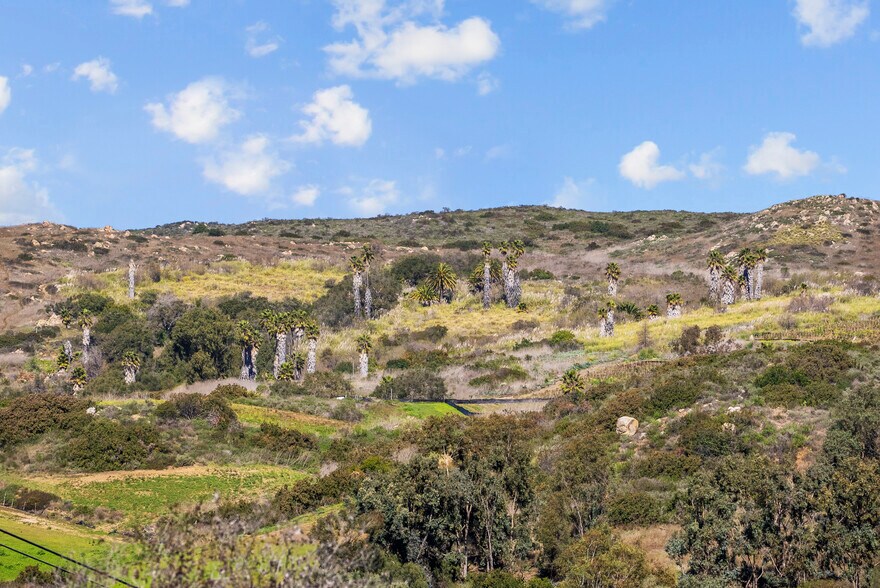 More Photos Of 5601 Palmer Way, Carlsbad Research And Development For Lease