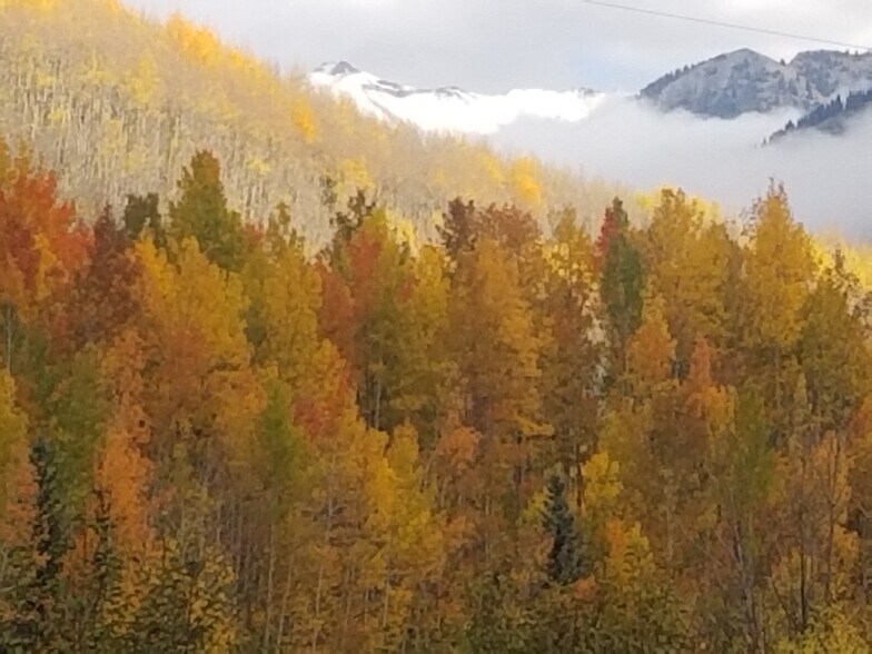 More Photos Of 920 Main St, Ouray Storefront Retail Office For Sale