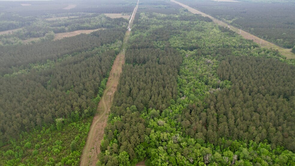 More Photos Of , Reevesville Land For Sale