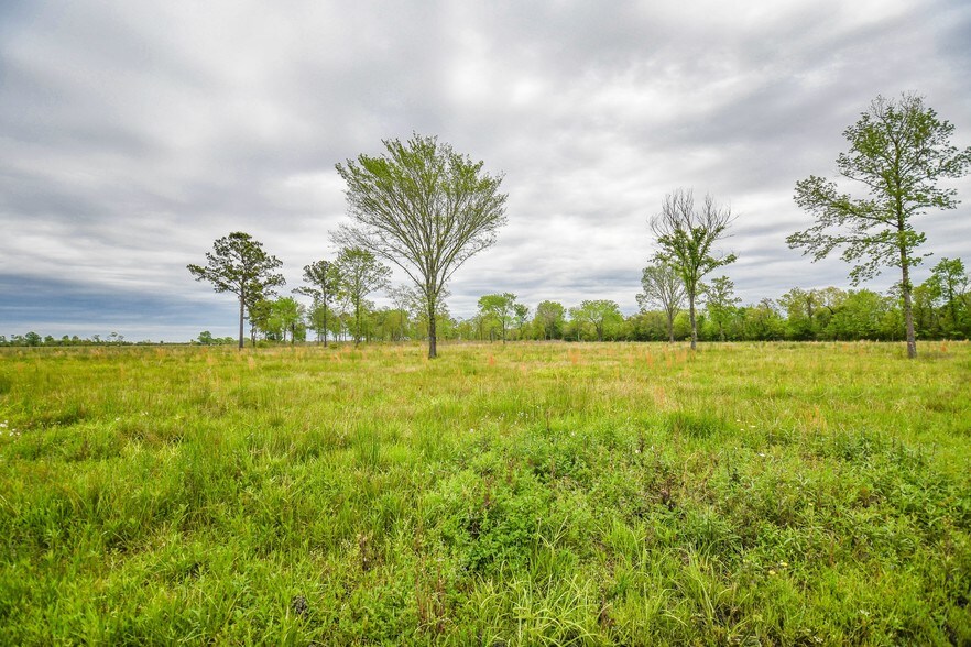 More Photos Of 21224 FM 2100 Rd, Crosby Warehouse For Sale