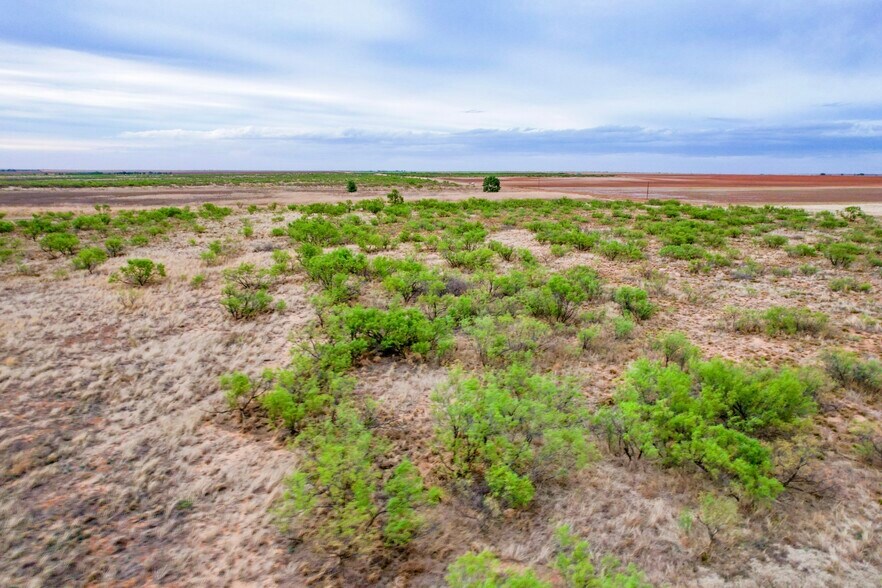 More Photos Of SW Corner of 380 & County Road 595 hwy, Brownfield Land For Sale