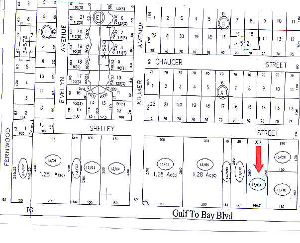 More Photos Of 2472 Gulf To Bay Blvd, Clearwater Storefront Retail Office For Lease