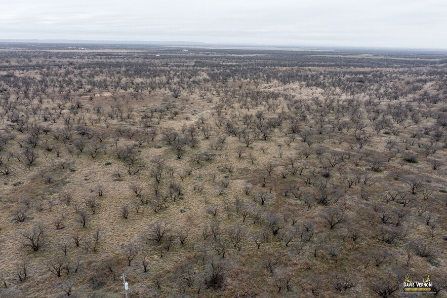 More Photos Of 10737 Interstate 20 W, Clyde Land For Sale