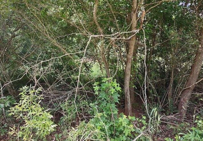 More Photos Of Barnesville Highway, The Rock Land For Sale