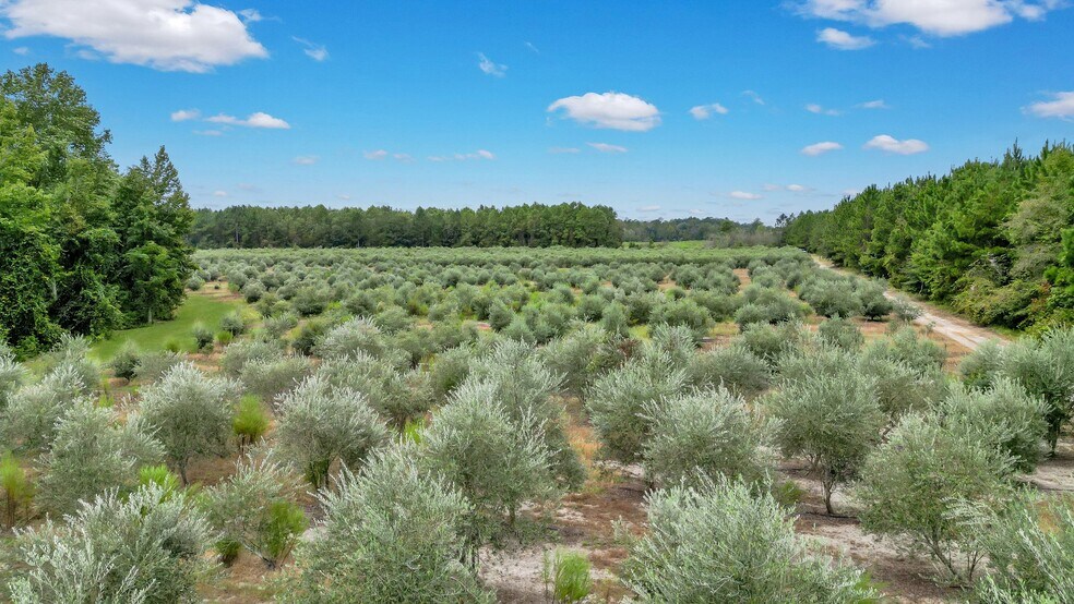 More Photos Of 2437 GA Highway 121, Glennville Land For Sale