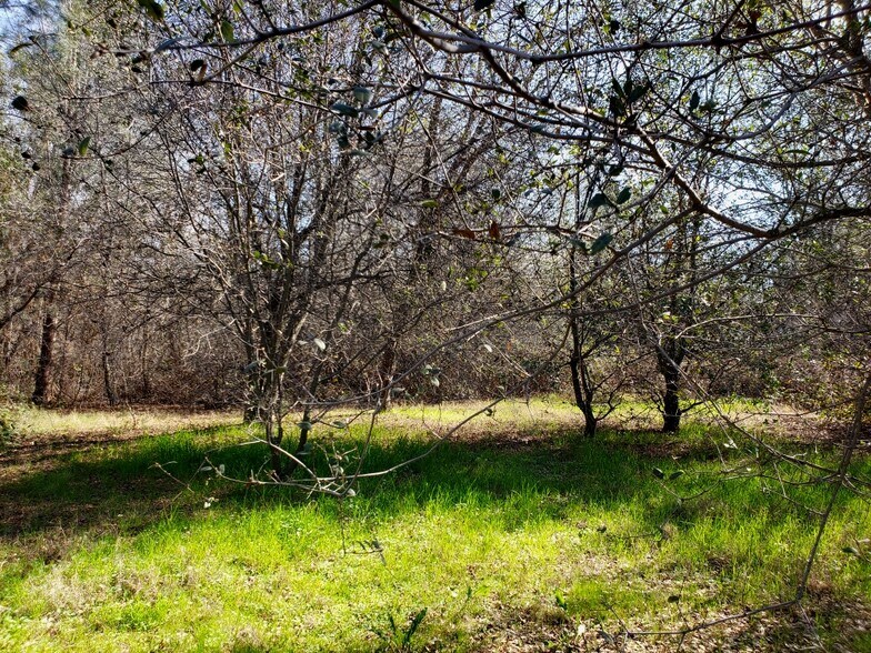 More Photos Of Ambassador Dr, Rocklin Land For Sale