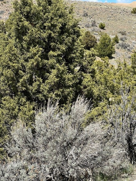 More Photos Of 4387 Sharps Rd, Reno Land For Sale