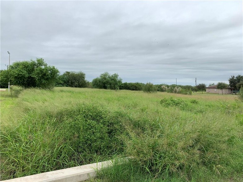 More Photos Of 0 US Highway 281, Falfurrias Land For Sale